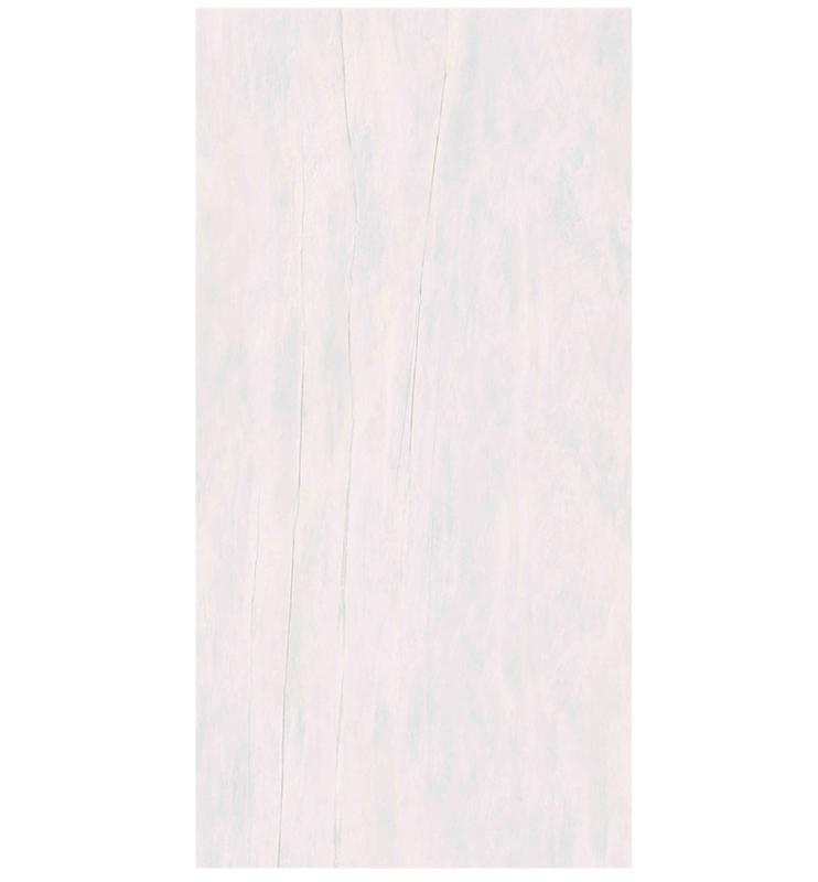スリーク・モダン・スタイル 石の効果 ポルセラン 床タイル 600x1200mm マット/光沢仕上げ